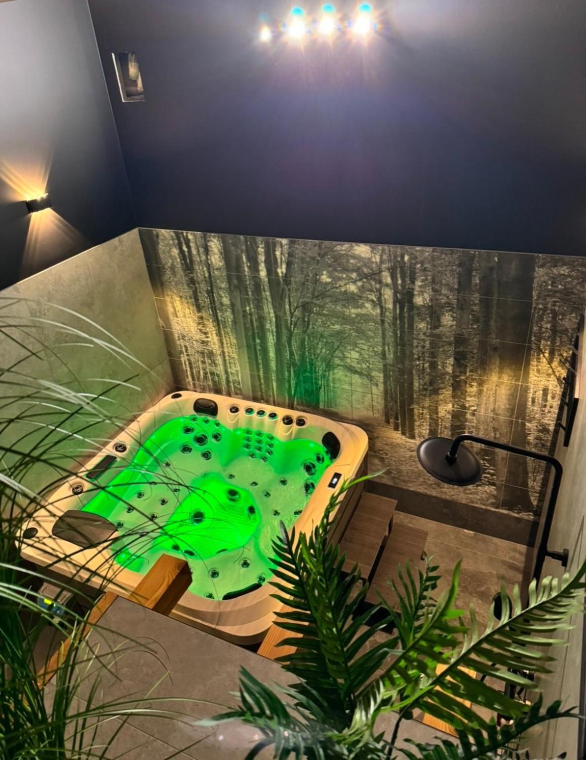 Dawna Mleczarnia Apartamenty Sosnowy ノバ・ルダ エクステリア 写真